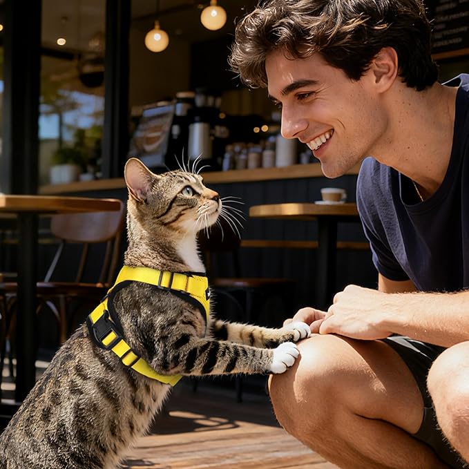 Dooradar Cat Harness and Leash Set, Escape Proof Safe Adjustable Kitten Vest Harnesses for Walking, Easy Control Soft Breathable Mesh Jacket with Reflective Strips for Cats, Yellow, XS