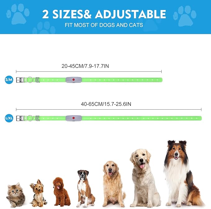 Lighted Dog Collar, Rechargeable Light Up Pet Collar, Waterproof LED Dog Collar Glow in The Dark, Make Pet Visible and Safety for Night Walking for Small Medium Large Dogs (Purple)