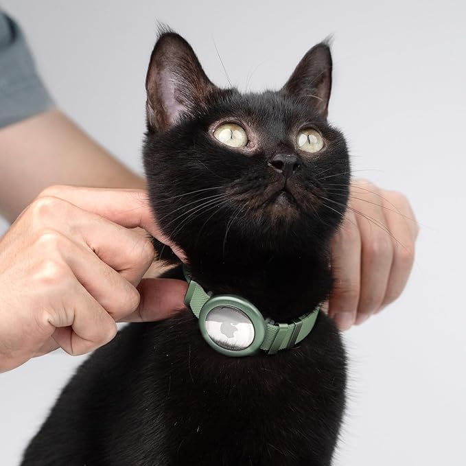 Safety Cat Collar - U.S. IDA Gold Award Design, Stretchy Elastic Quick Release Non Breakaway Cat Collar Light Weight for Kitten All Small Medium Large Cats (Olive, M (7.8-15.7 inch))