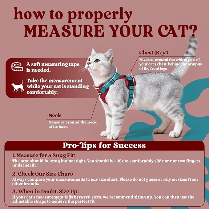 rabbitgoo Cat Harness and Leash for Walking, Escape Proof Soft Adjustable Vest Harnesses for Cats, Easy Control Breathable Reflective Strips Jacket, Red & Teal, XXS