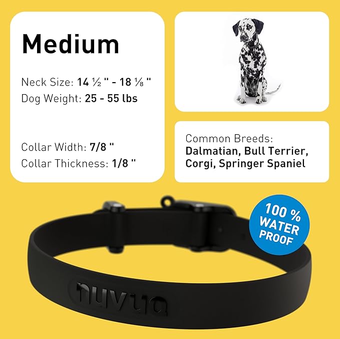Waterproof Dog Collar - Durable, Comfortable and Adjustable Outdoor Dog Collar with Wear Resistant Buckle and ID Tag Ring for Medium Dogs by Nuvuq (Black, Medium)