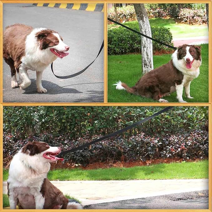 AMAGOOD 6 FT Cat Leash, Strong and Durable Traditional Style Leash with Easy to Use Collar Hook,Cat Lead Great for Cats (1" x 6 ft,Black and Black(2-Pack))