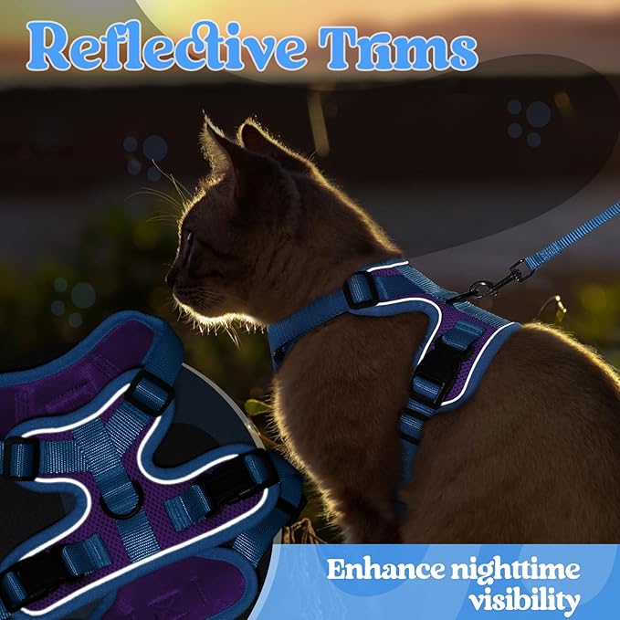 rabbitgoo Cat Harness and Leash Set, Escape Proof Soft Adjustable Vest Harnesses for Outdoor Walking, Easy Control Breathable Kitten Jacket with Reflective Strips, Purple & Blue, XXS