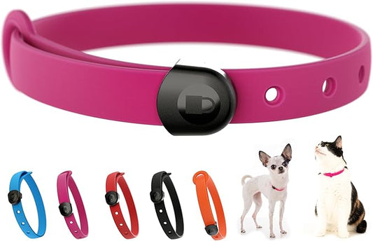 Dog Collar - Comfortable, Soft and Lightweight Adjustable Collar with Name Tag Ring for Miniature Dogs and Puppies - Non Breakaway Cat Collar by Nuvuq (Pink, Mini)