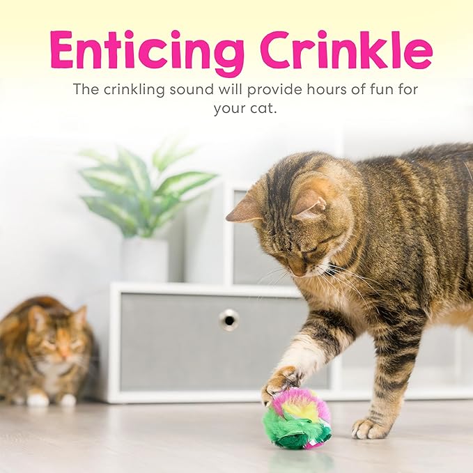 Large Cat Crinkle Balls 2.5 Inch | 12 Pack | Perfect Stocking Stuffer for Christmas | Soft Lightweight Indoor Cat Toys with Durable Crinkle Build and Engaging Sound