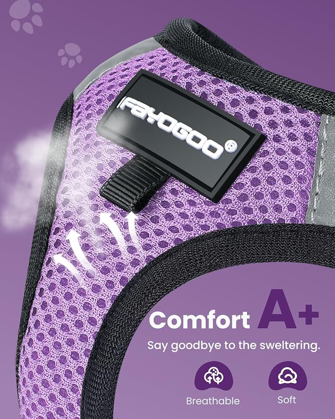 FAYOGOO Cat Harness and Leash Set | Upgrade Step-in Escape Proof Harness | Lightweight Soft Vest, No-Choke Design for Walking, Travel, Camping (Modern Violet)