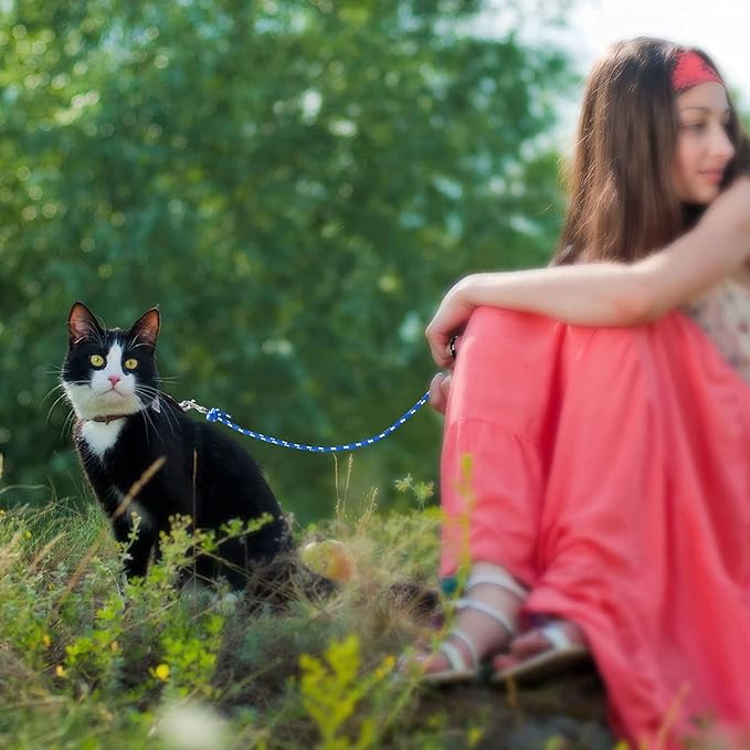 Rypet Reflective Cat Long Leash 15 FT Escape Proof Walking Leads Yard Long Leashes Durable Safe Personalized Extender Leashs Traning Play Outdoor for Kitten, Puppy, Rabbit and Small Animals