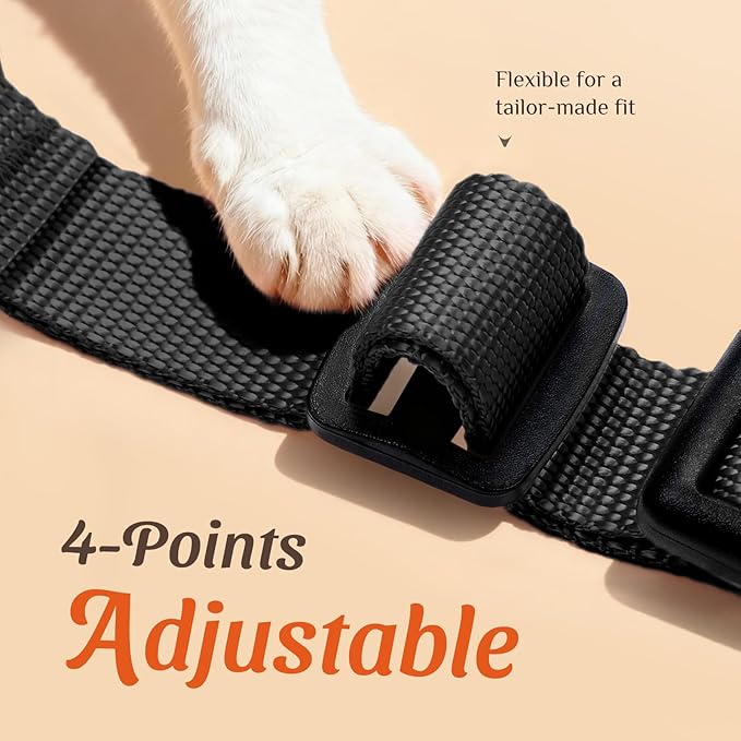 Dooradar Cat Harness and Leash Set, Escape Proof Safe Adjustable Kitten Vest Harnesses for Walking, Easy Control Soft Breathable Mesh Jacket with Reflective Strips for Cats, Black, XXS