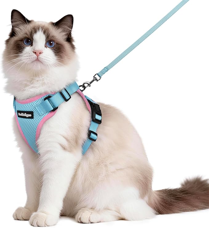 rabbitgoo Cat Harness and Leash for Walking, Escape Proof Soft Adjustable Vest Harnesses for Cats, Easy Control Breathable Reflective Strips Jacket, Light Blue&Pink, M