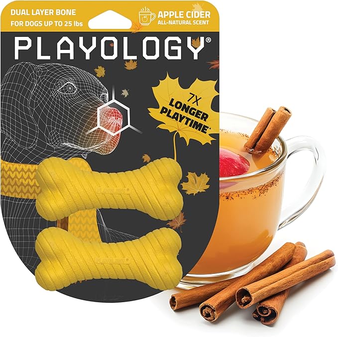 Playology Dog Toys | Dual Layer Bone Durable Chew Toy Bone for Dogs, Value 2-Pack | Small Apple Cider Scented Toy - Limited Edition Fall Scent | Easy to Clean and Made from Non Toxic Materials