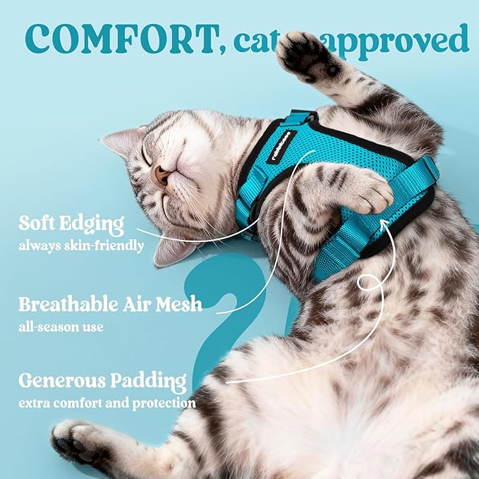 rabbitgoo Cat Harness and Leash for Walking, Escape Proof Soft Adjustable Vest Harnesses for Cats, Easy Control Breathable Reflective Strips Jacket, Teal, XXS