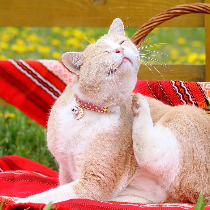 2 Pack Cotton Breakaway Cat Collar with Bell Pink & Green Paw Pendant Cute Kitten Cat Collar Suitable for Girls and Boys