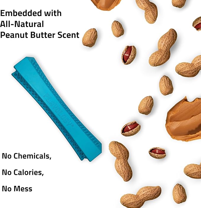Playology Dog Toys | Dental Chew Stick Gentle on Gums | Medium Peanut Butter Scented Toy - Easy to Clean and Made from Non Toxic Materials