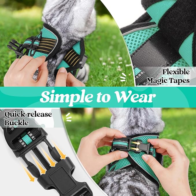 rabbitgoo Cat Harness and Leash Set for Walking Escape Proof, Adjustable Soft Kittens Vest with Reflective Strip for Cats, Comfortable Outdoor Vest, Green, XL