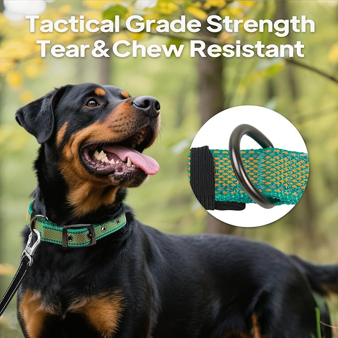 PetiFine Dog Collar for Large Dogs, Neoprene Padded and Adjustable, Reflective Wide Heavy Duty Pet Collars with Durable Metal Belt Buckle for Walking, Teal&Orange, L