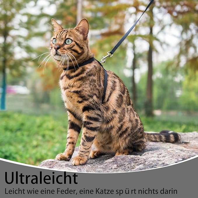 PUPTECK Adjustable Cat Harness and Leash Set Escape Proof Kitten Strap Collar for Walking Travel, Black, M