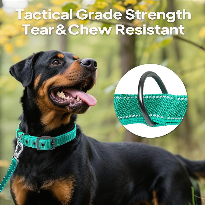 PetiFine Dog Collars for Medium Dogs, Neoprene Padded and Adjustable, Reflective Wide Heavy Duty Pet Collars with Durable Metal Belt Buckle for Walking, Teal, M
