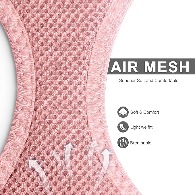 Fida Comfy Dog Harness with Leash, Cat Vest Harness Escape Proof, Breathable Lightweight Soft Mesh, Adjustable Reflective Step-in Harness for Puppy Toy Breeds & Extra-Small Pet (XXS, Pink)