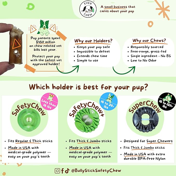 EverChew | Made in USA Bully Stick Holders & Premium All-Natural Bully Stick Starter Packs (SafetyChew+ & 1 Thick 6" Stick | 16 to 39+ lbs)