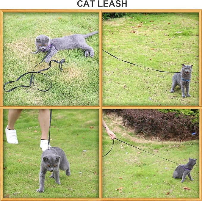 AMAGOOD 6 FT Cat Leash, Strong and Durable Traditional Style Leash with Easy to Use Collar Hook,Cat Lead Great for Cats (3/8 in x 6 ft,Black and Blue(2-Pack))