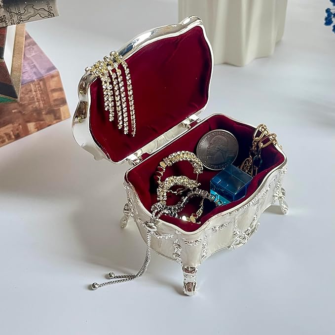 Truewon Princess Jewelry Box, Modern Korean Asian Design Metal Chest Earring Ring Necklaces Storage for Girls (Silver White, Small)