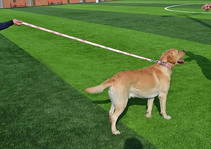 Dog Collar and Leash Set with Bohemia Floral Tribal Geometric Patterns - Soft Ethnic Style Collar Adjustable for Small Medium Large Dogs(Pink Rose Set,L)