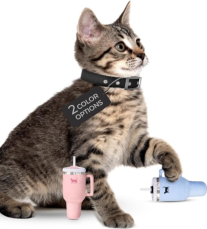 Kitty Cup Catnip Toy - Christmas & Birthday Cat Gift Toy with Catnip & Crinkle, Funny Stocking Stuffer for Girl Indoor Kitten (Chambray Blue)