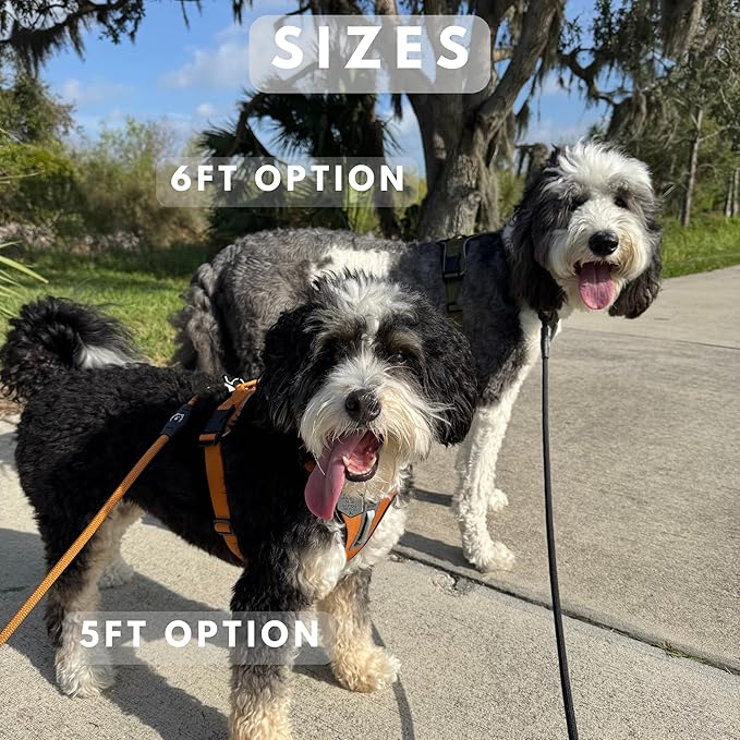 ShawnCo Basecamp Rope Dog Leash- Premium, Durable Pet Leash with Soft Neoprene Padded, Reflective Handle for Small, Medium and Large Dogs (Driftwood, 6 Feet)