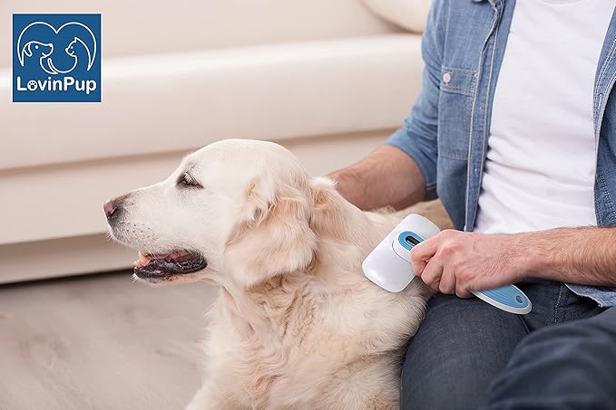 Dog Grooming Slicker Brush, Dogs and Cat Self Cleaning Brushes, Best Brushing for Professional Grooming and Massaging Doggies and Cats, Simple Cleaning with Retractable Curved Bristles