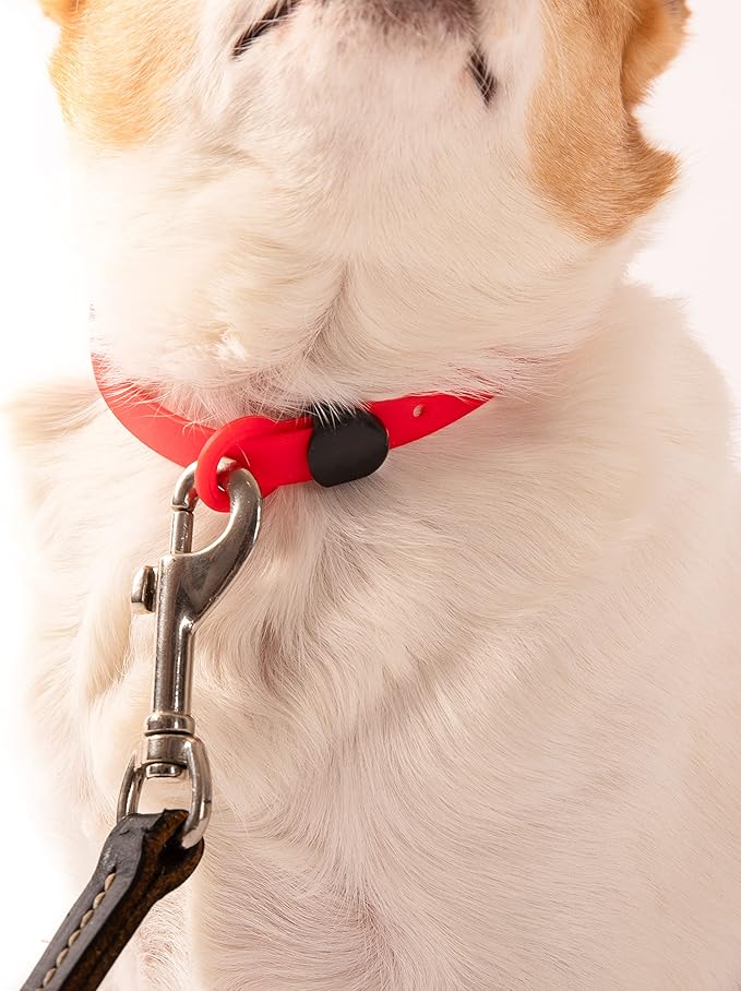 Dog Collar - Comfortable, Soft and Lightweight Adjustable Collar with Name Tag Ring for Miniature Dogs and Puppies - Non Breakaway Cat Collar by Nuvuq (Red, Mini)