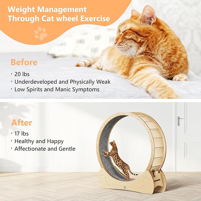 Cat Wheel for Indoor Cats - 47" Large Cat Exercise Wheels, Cats Running Wheel, Cat Treadmill