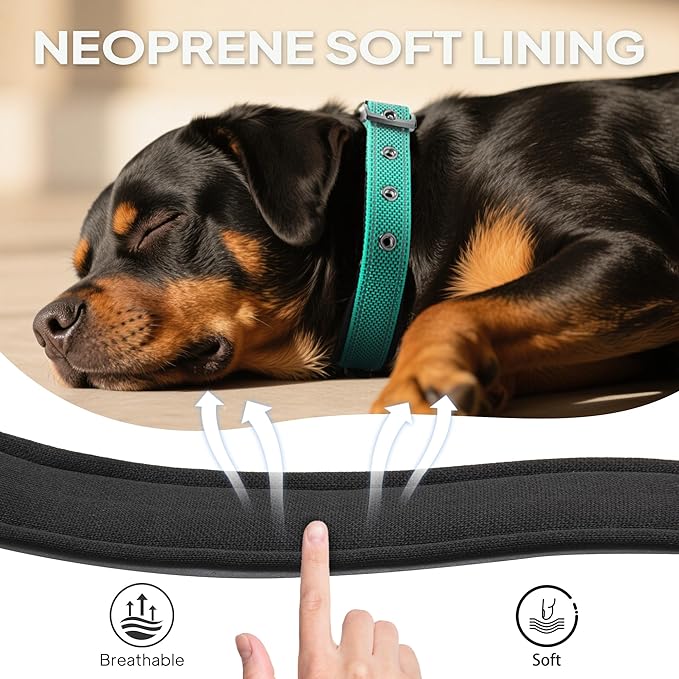PetiFine Dog Collars for Small Dogs, Neoprene Padded Dog Collar, Reflective Heavy Duty Pet Collars with Durable Metal Belt Buckle for Walking, Teal, S