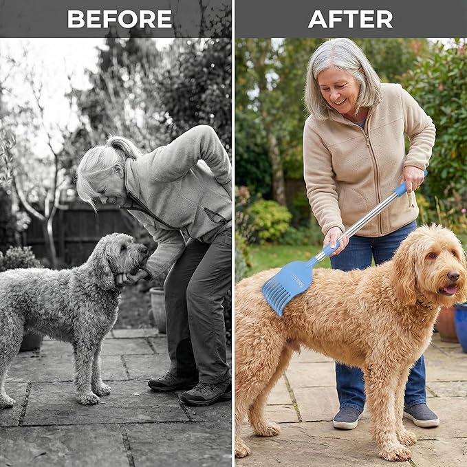 Bearbark Extendable Dog Scratcher (23"-31") - Long Reach Handle to Save Your Back - Gentle Grooming Brush for Medium & Large Dogs - Great Gift for Pet Lovers