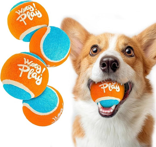 ALL FOR PAWS 2.5" Tennis Balls for Dogs, Dog Balls for Ball Launcher Toy, Bouncy & Durable Fetch Balls for Medium Large Dogs, 4 Pack Fetch Toy for Outdoor Play
