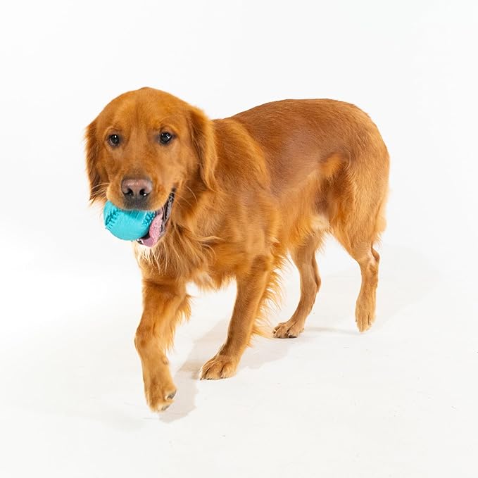 Playology Dog Toys | Dental Chew Ball Gentle on Gums | Jumbo Peanut Butter Scented Toy - Easy to Clean and Made from Non Toxic Materials