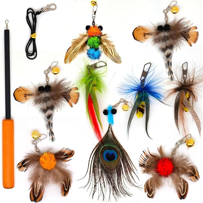 Interactive Cat Toys - 10 PCS Cat Retractable Wand Toy and Feather Toys Refills, Enrichment Toys for Indoor Cats,Kitty Toys on a Stick,Kitten Toy Small Feather Insects