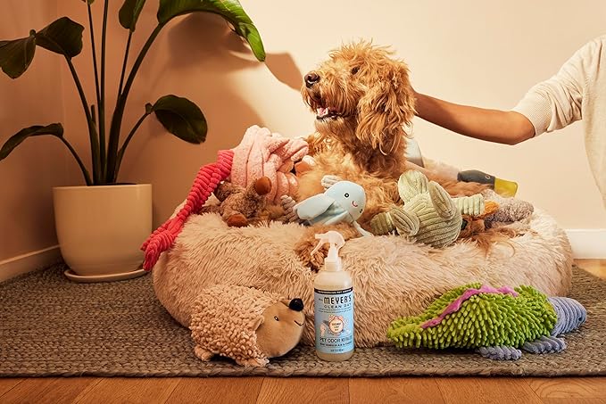 MRS. MEYER'S CLEAN DAY Pet Odor Neutralizer, Coconut Leaf Scent, 12oz