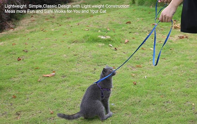 AMAGOOD 6 FT Puppy/Dog Leashes, Strong Traditional Style Leash with Easy to Use Collar Hook,Dog Lead Great for Small and Medium and Large (Blue,5/8" x 6 Feet)