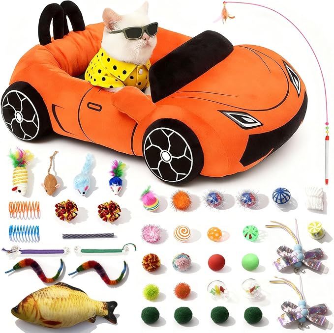 40 Pcs Interactive Cat Toys with Cute Cat Bed, Funny Supercar Kitten Toys for Indoor Kittens, Soft Kitten Beds with Catnip Toys, Chew Rope, Feather Wand, Springs and Balls