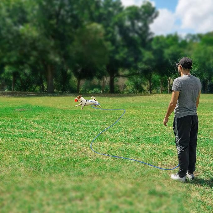 Rypet Reflective Cat Long Leash - 30 FT Escape Proof Walking Leads Yard Long Leash Durable Safe Personalized Extender Leash Traning Play Outdoor for Kitten, Puppy, Rabbit and Small Animals