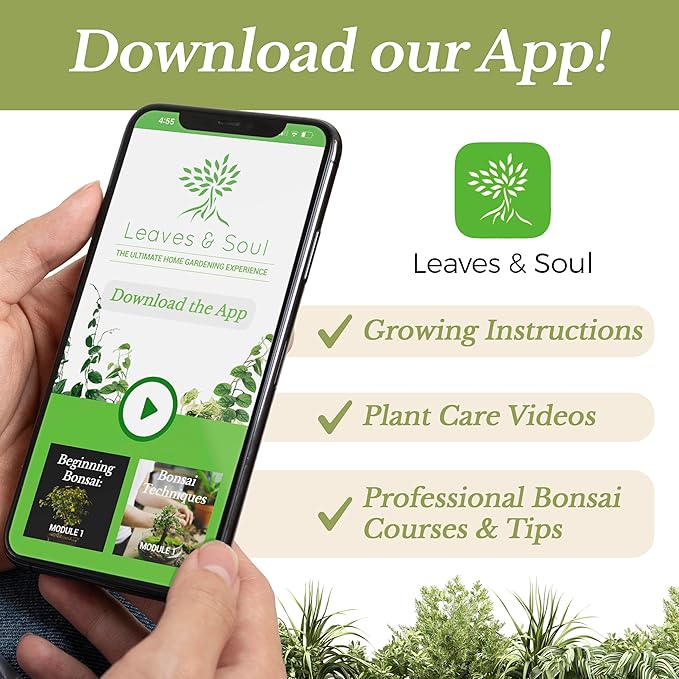 Fiddle Leaf Fig House Plant Soil Premium All Purpose Blend | Large 2.2 Quarts | Ready to Use for Indoor Houseplants | Peat, Sawdust, Course Sand and Pinebark | Made in USA