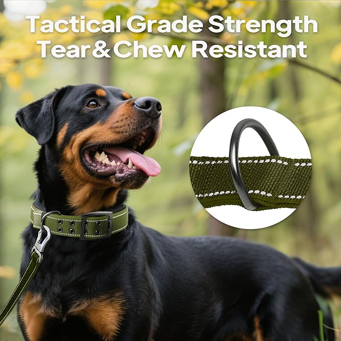 PetiFine Dog Collar for Large Dogs, Neoprene Padded and Adjustable, Reflective Wide Heavy Duty Pet Collars with Durable Metal Belt Buckle for Walking, Green, XL