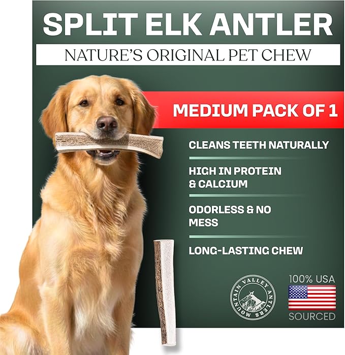 Mountain Valley Elk Antlers for Dogs - 100% Natural & Organic Chew for Aggressive Chewers, No Odor, No Mess, Long Lasting - Wild-Foraged Naturally Shed Antlers in USA - Grade A, Split Medium (1 Pack)