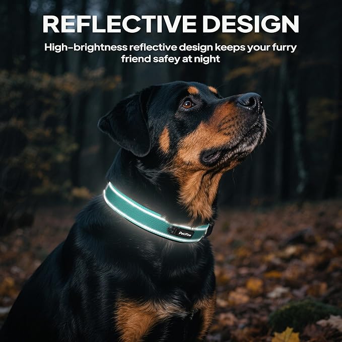PetiFine Dog Collars for Small Dogs, Neoprene Padded Dog Collar, Reflective Heavy Duty Pet Collars with Durable Metal Belt Buckle for Walking, Teal, S