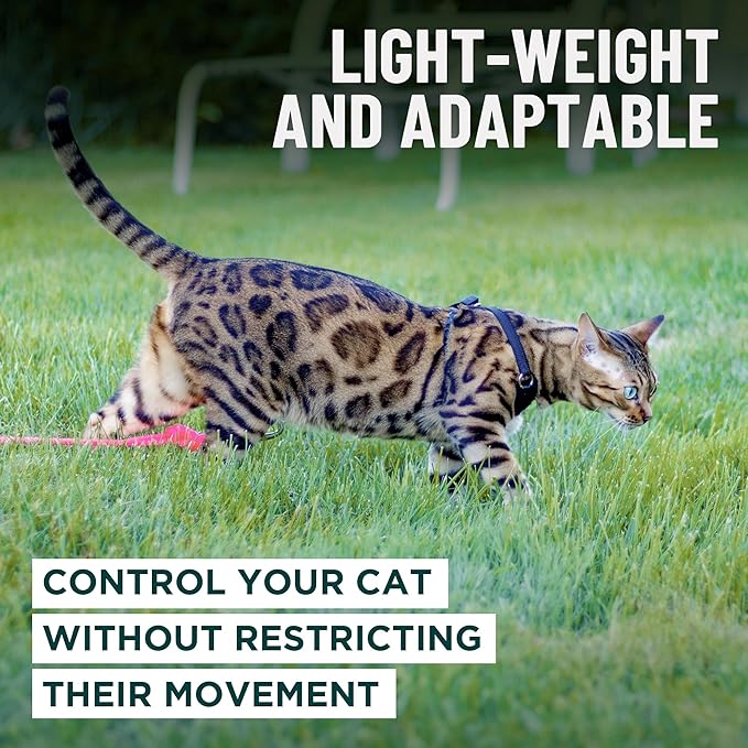 Houdini™ Escape Proof Kitten Harness and Leash Set by OutdoorBengal – Red, Small Cat Harness for Walking