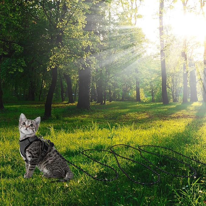 Reflective Cat Leash -30FT Cat Cable Out Escape Proof Walking Yard Long Durable Safe Leash Traning Play Outdoor for Puppies/Kittens/Small Animals(Black)