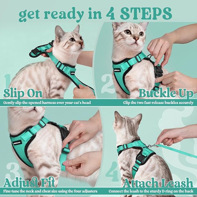rabbitgoo Cat Harness and Leash for Walking, Escape Proof Soft Adjustable Vest Harnesses for Cats, Easy Control Breathable Reflective Strips Jacket, Emerald, M