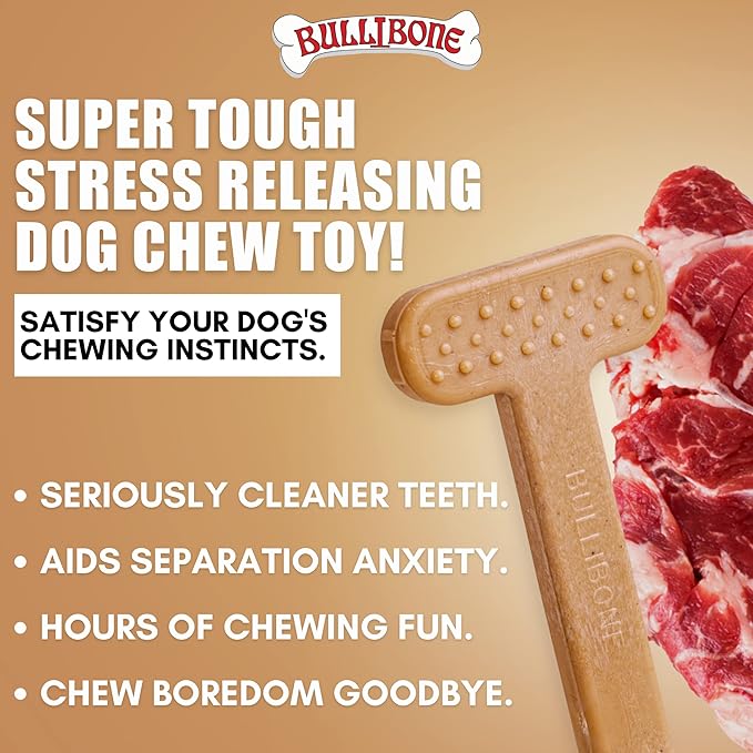 Bullibone Nylon Dog Chew Toy for Aggressive Chewers - Dental Hygiene Bone with Beef Flavor, Durable Tough Chew Toys for Large Dogs, Indestructible Dog Bone - 3 Pack