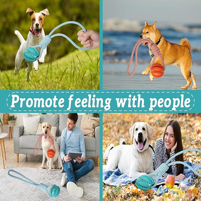 Dog Rope Toy for Medium and Small Dogs, Interactive Puppy Toys Tug of War Toy with Rubber Ball, Durable Outdoor Puppy Chew Toys for Teeth Cleaning, Fetch & Training(Blue)