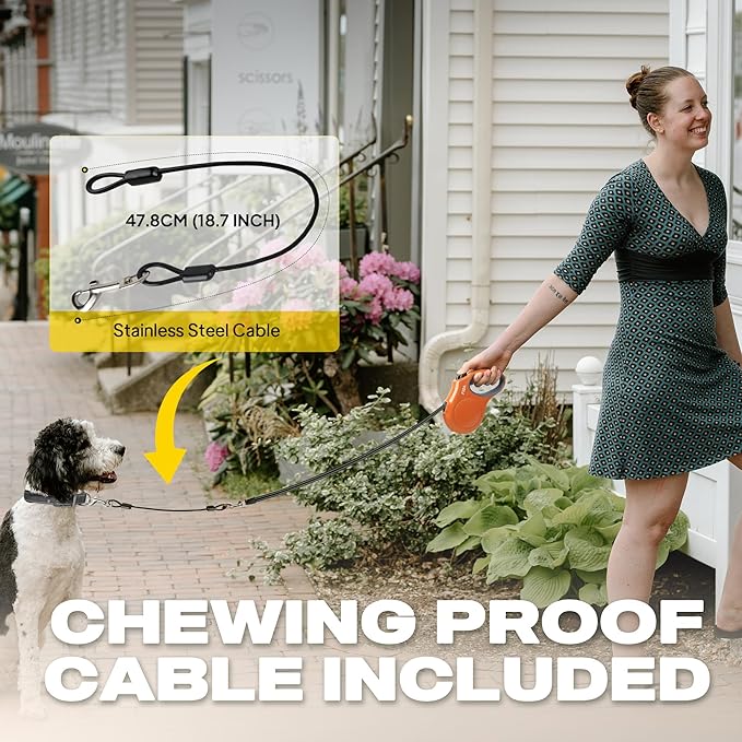 Fida Retractable Dog Leash, 10ft Heavy Duty Pet Walking Leash for X-Small Dogs or Cat up to 18 lbs, Tangle Free. One-Hand Brake (X-Small, Orange)